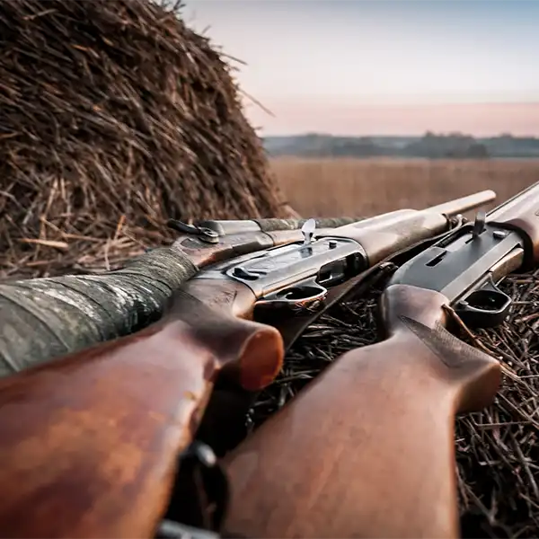 hunting ducks 3 shotguns on ground